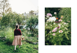 Kniha Knits from Our Gardens